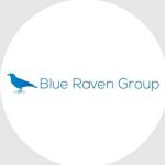 Blue Raven Group Profile Picture