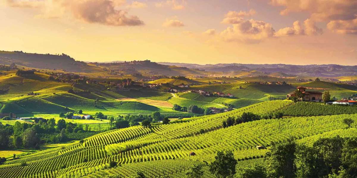 Top things to do in Langhe, Italy