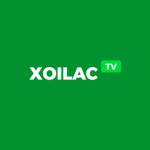 XoiLac TV Profile Picture