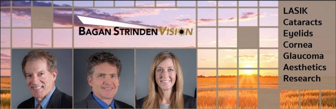 bstrindenvision Cover Image