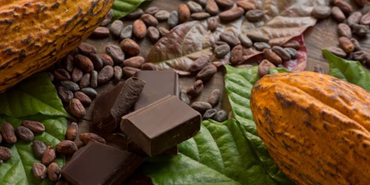 Organic Cocoa Market Overview and Investment Analysis Report Till 2030
