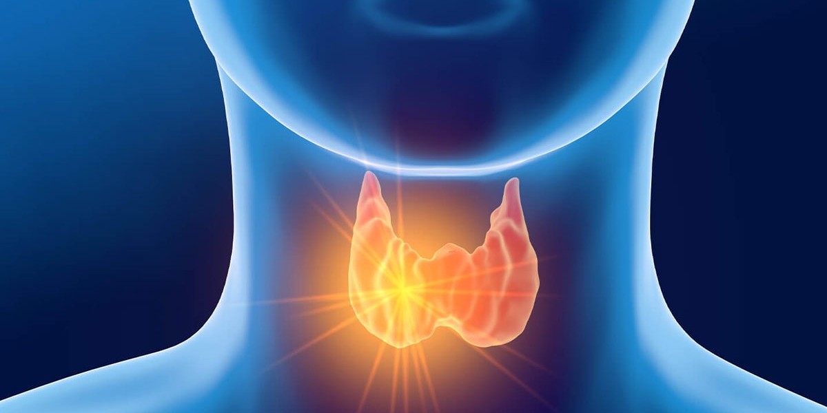 Hypothyroidism Market Trends to Accrue Pervasively With approx. 4.60% CAGR