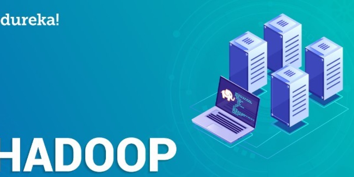 What is Hadoop support data analytics?
