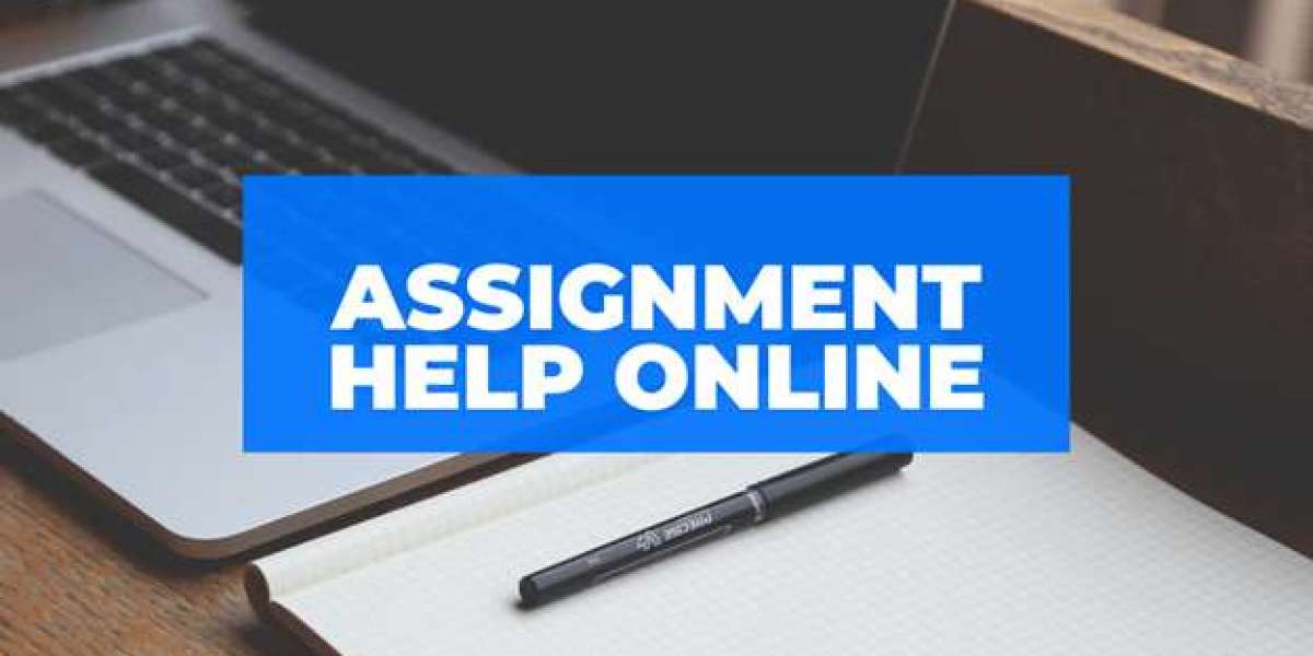 Assignment Help: Your Academic Lifeline