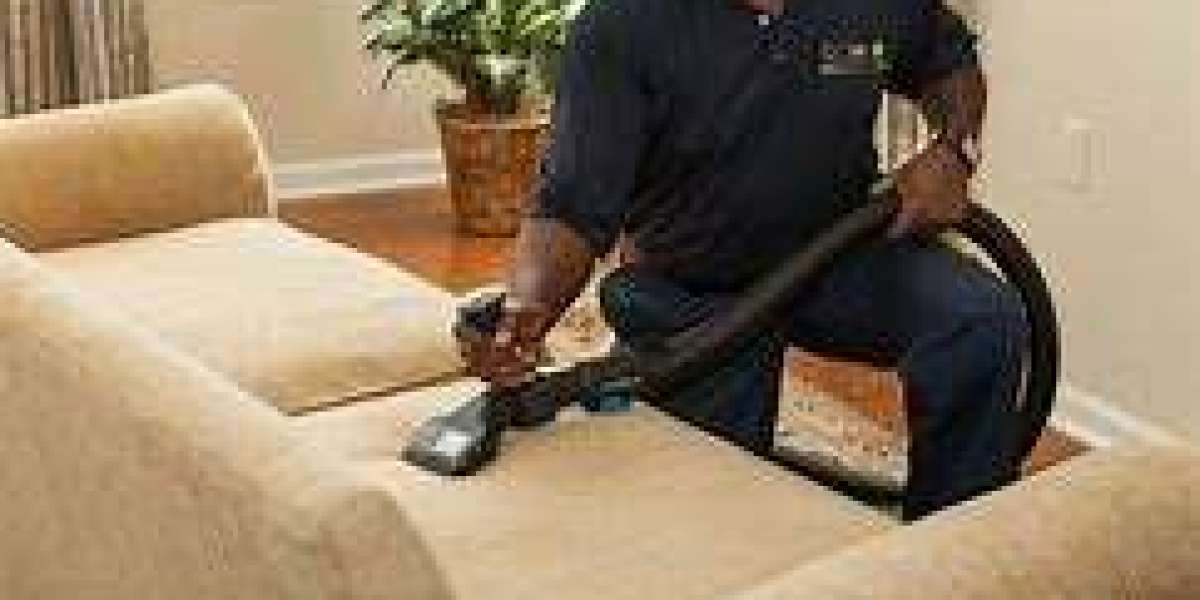 The Staggering Impact of Professional Carpet Cleaning Services