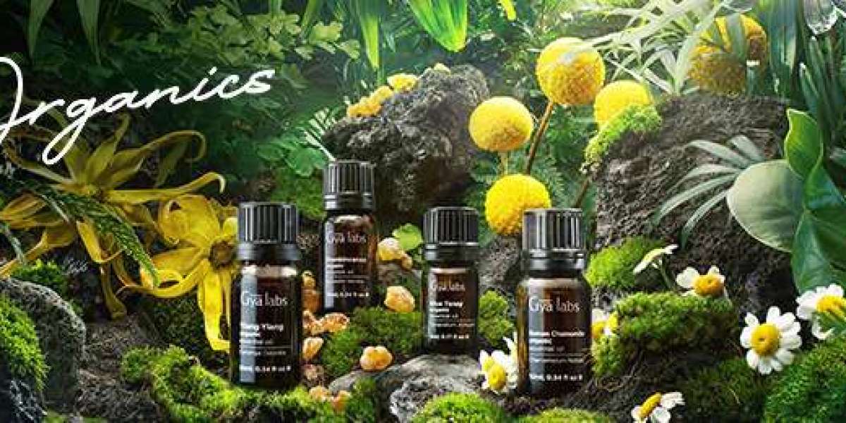 Unveiling the Benefits of GyaLabs Organic Essential Oils