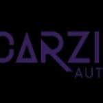 Carzilla Auto Service Profile Picture