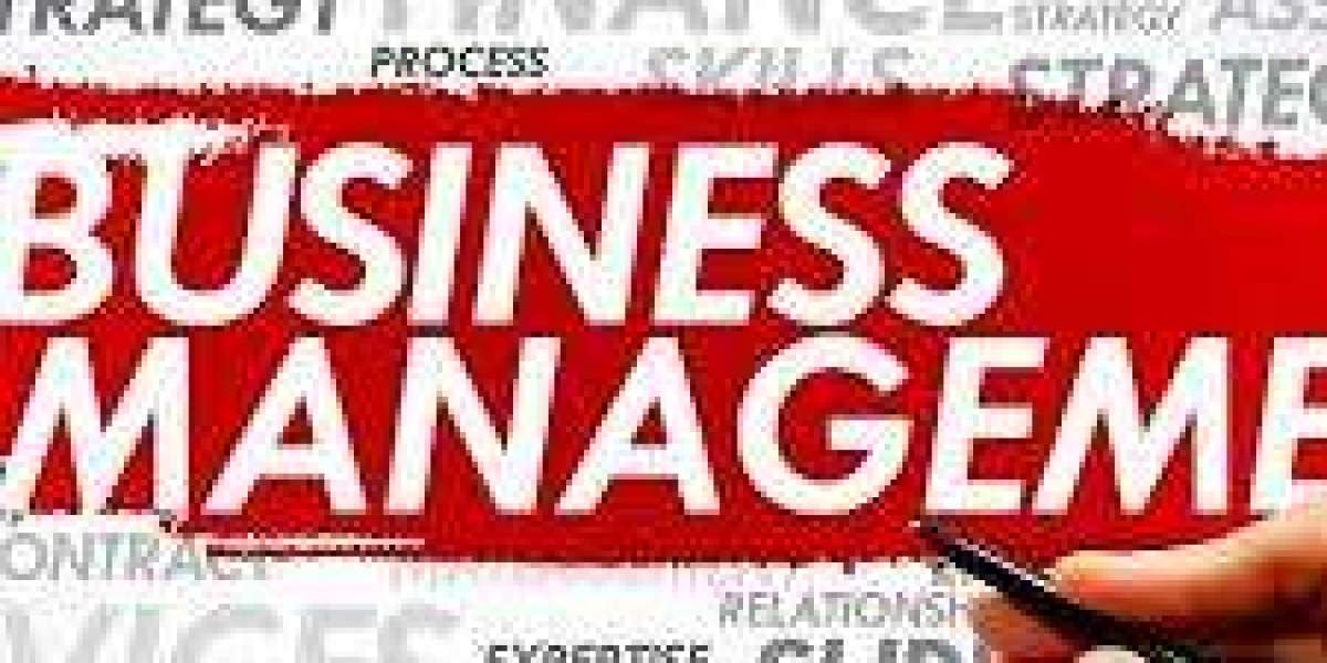 How can business management assignment benefit services in New Zealand?