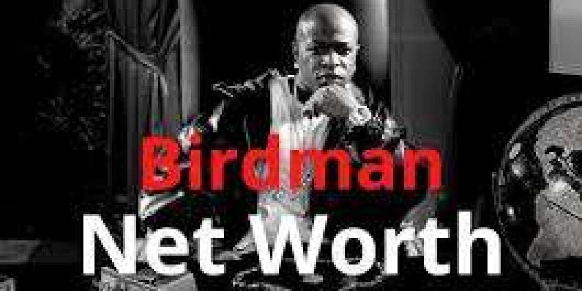 How Much is Birdman Worth 2021: How He Became a Multi-Millionaire