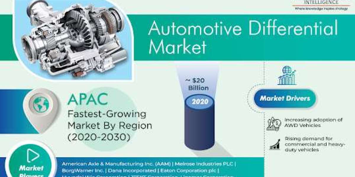 Powering Performance: Navigating the Automotive Differential Market