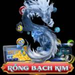 Rồng Bạch Kim Me Profile Picture