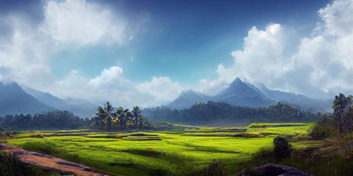 Majestic Munnar: Your Ultimate Guide to the Perfect Kerala Tour Package