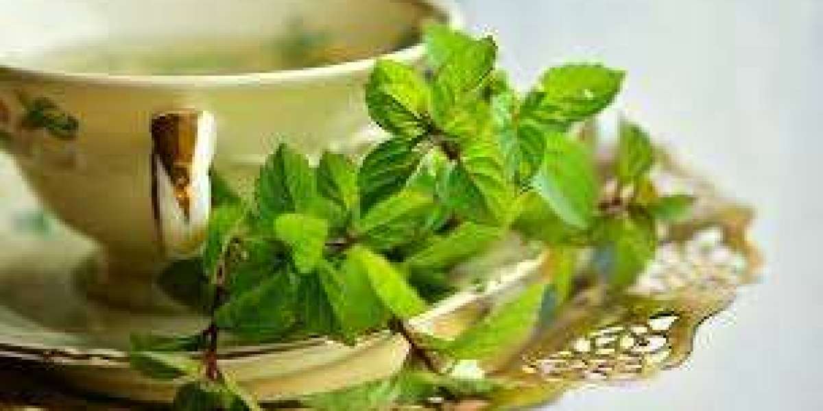 Wonderful Well being Advantages of Peppermint Tea