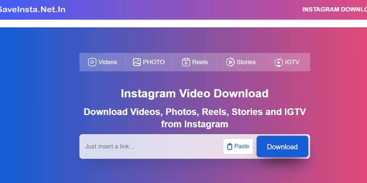 Preserve and Conquer: SaveInsta's Strategic Approach to Instagram Content Archiving
