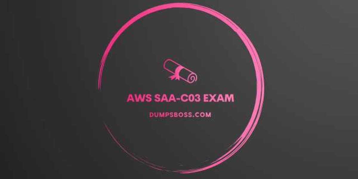 AWS SAA-C03 Exam Mastery: Strategies for Success