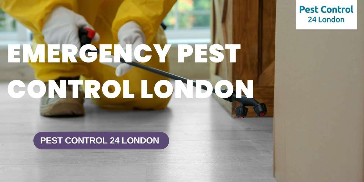 Pest Emergency Treatments in London