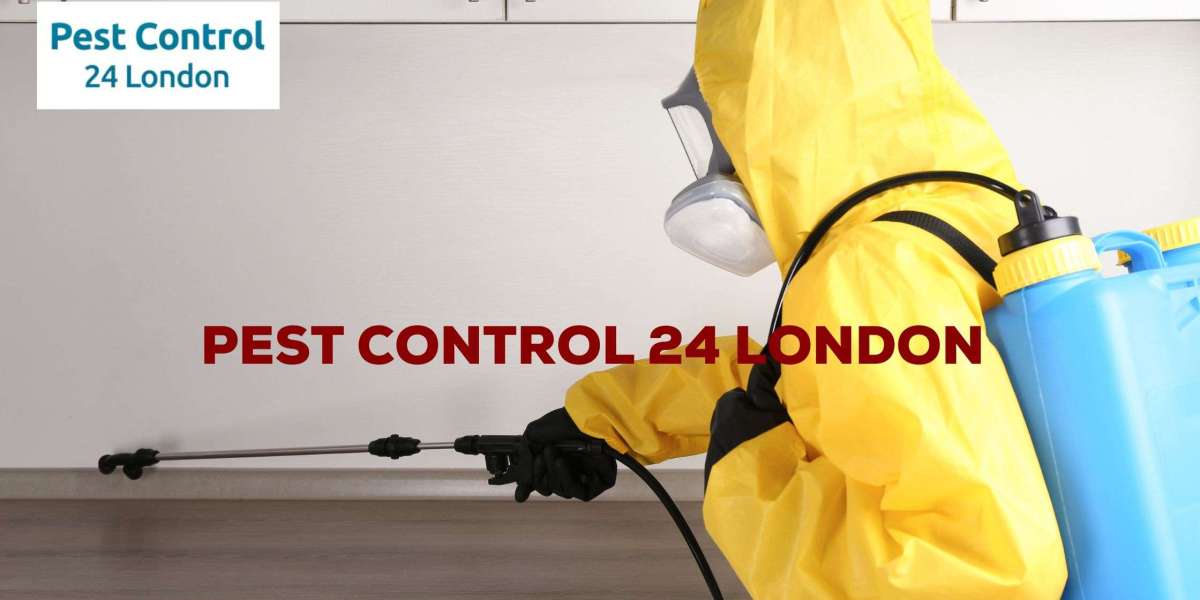 Get Rid of Pests in Ealing Today | Effective Pest Control Services