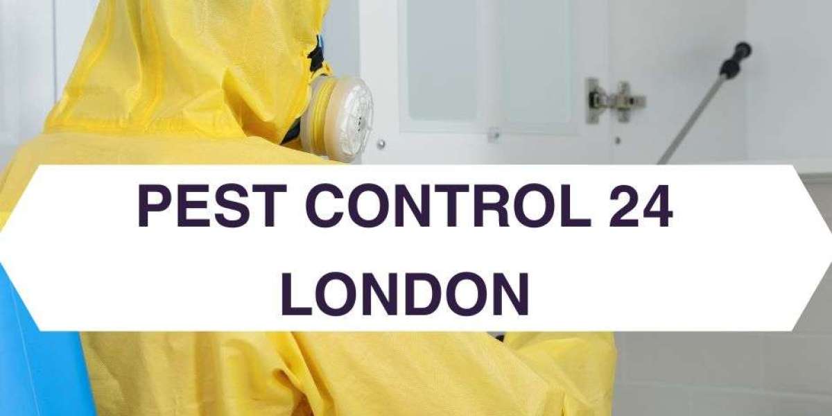 Dependable Ruislip Pest Control | Professional Solutions for a Pest-Free Home