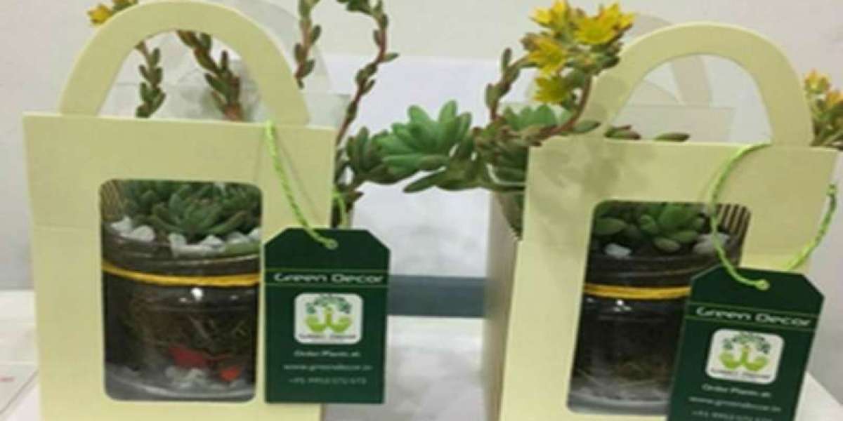 GreenDecor: Elevating Corporate Gifting in Delhi to Unparalleled Heights