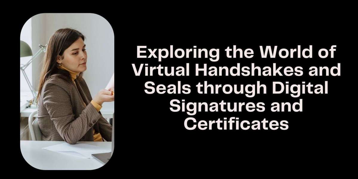 Exploring the World of Virtual Handshakes and Seals through Digital Signatures and Certificates
