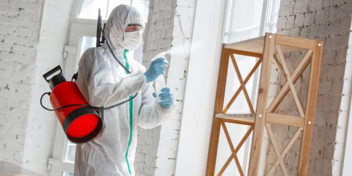 Megapestcontrol: Your Trusted Partner for Effective Pest Control Solutions in Langley and Surrey