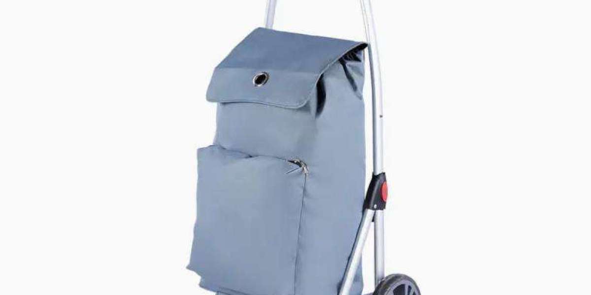 shopping trolley bag suppliers built to withstand the rigors of daily use