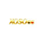 xoso66 ist Profile Picture