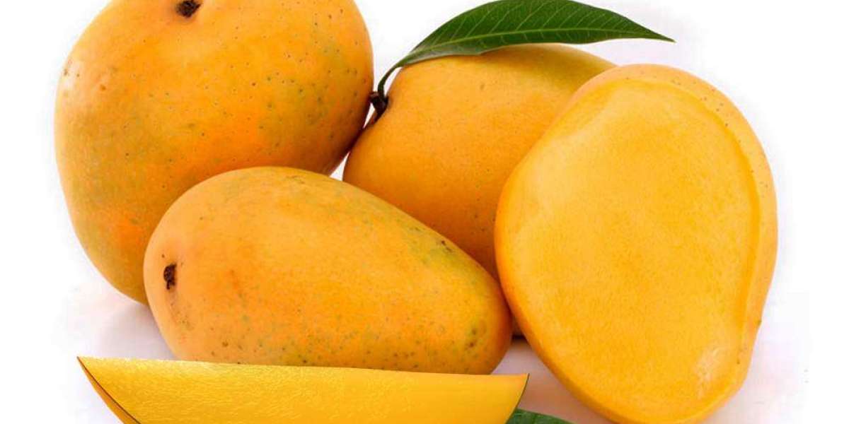 Beyond Borders: Expanding Mango Export Opportunities