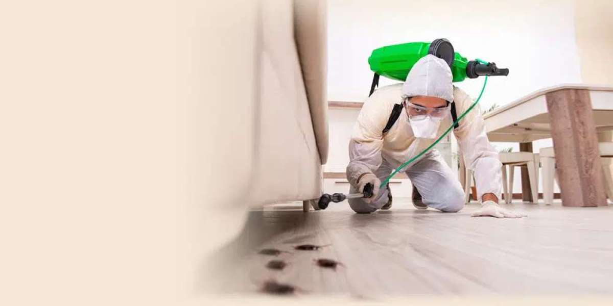 Strategies and Tactics for Effective Pest Control in Home and Health