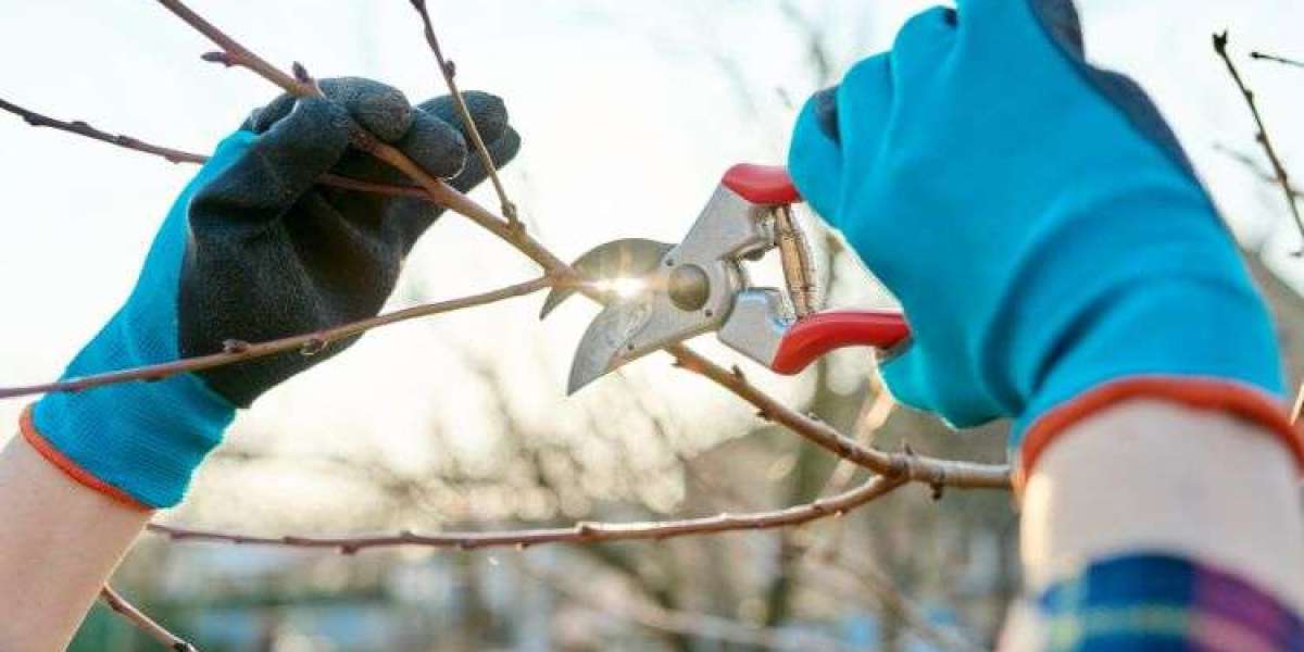 The Evolution of Electric Pruning Shears Market: A Brief History