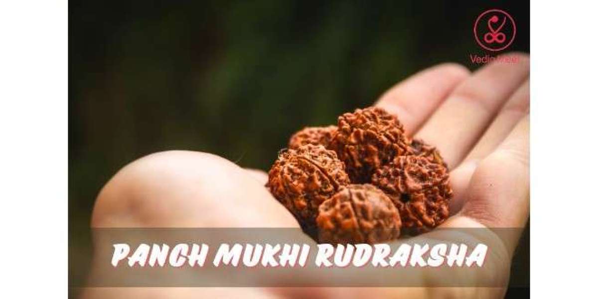 Panch Mukhi Rudraksha: The Mysteries of the Five-Faced Seed