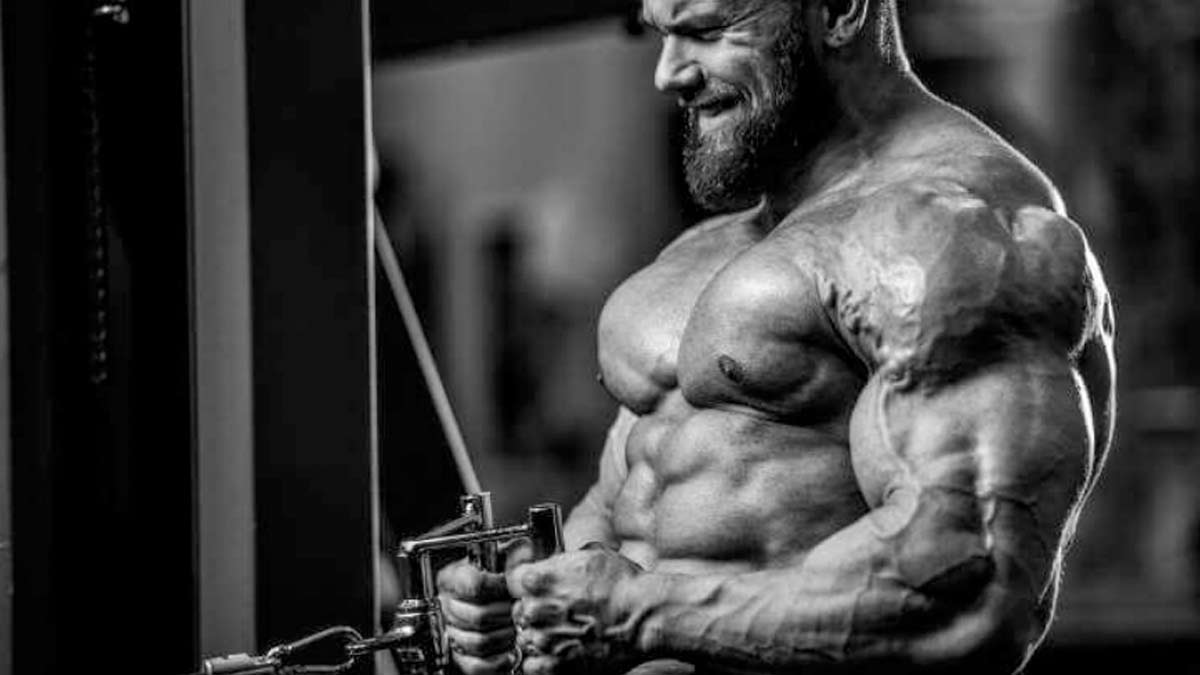 Best SARMs For Bulking & Cutting, Safest Sarms Stack For Muscle Growth and weight loss | OnlyMyHealth