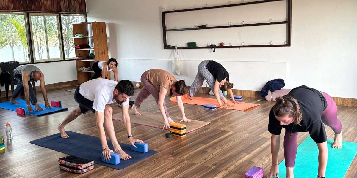 Best 100 Hours Yoga Teacher Training in India