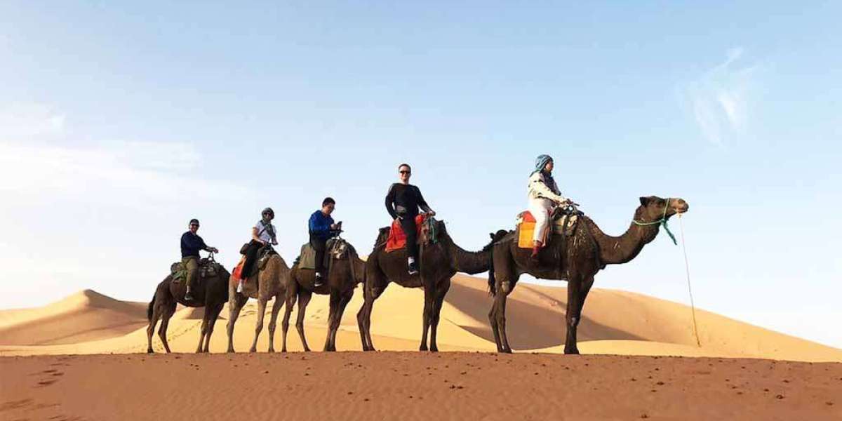 Experience the Magic: 7 Days Tour from Casablanca to Marrakech