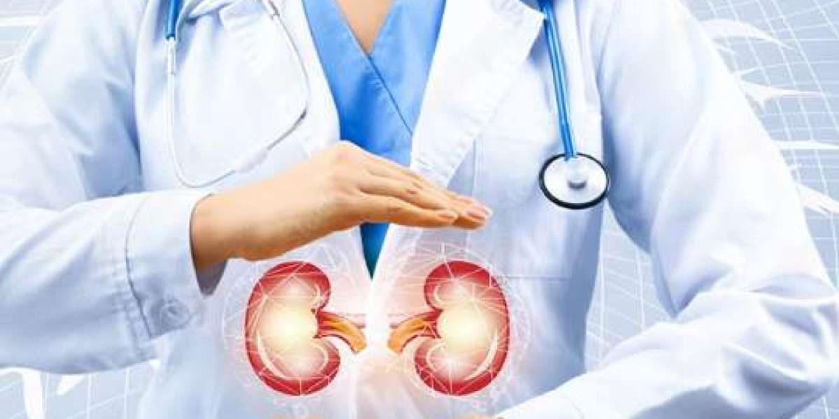 The Essential Guide to Kidney Clinics