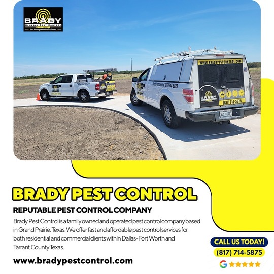 Brady Pest Control Fort Worth, Tx | Pest Control Exterminator In Fort Worth