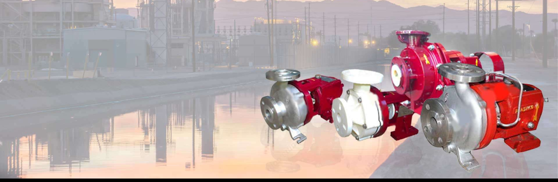 VND Plastico Pumps Cover Image