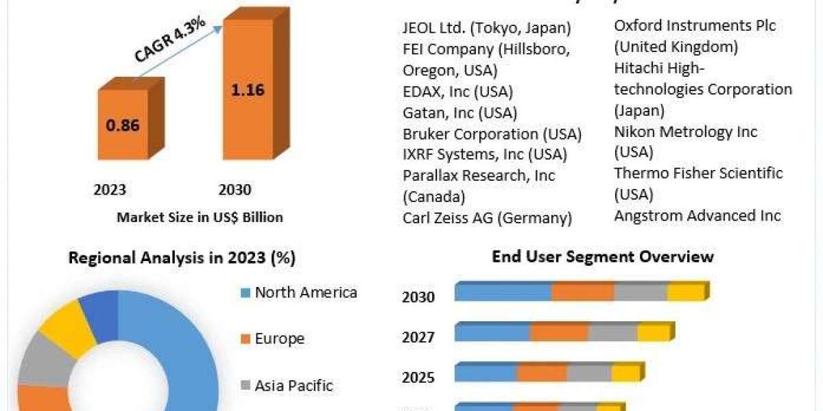 Transmission Electron Microscopy Market Segmentation, Industry Analysis and Forecast 2030