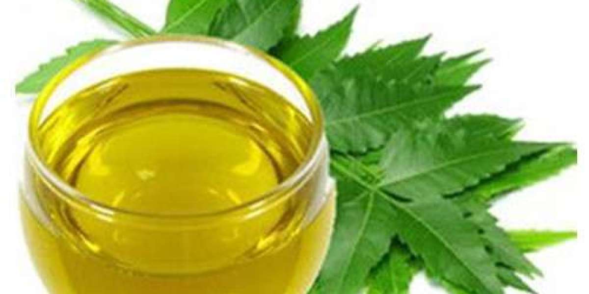 Neem Oil Processing Plant Project Report 2024, Business Plan, Cost and Raw Material Requirements