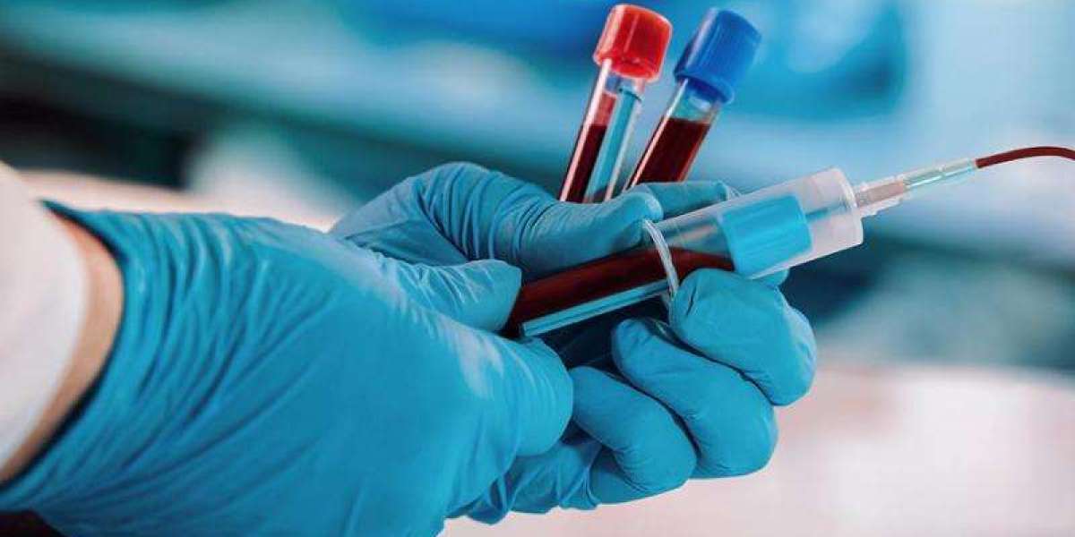 Blood Collection Market Share, Growth, Industry Outlook 2024-2032