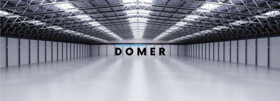 Domer Industrial Limited Cover Image