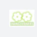 Living Flowers Profile Picture