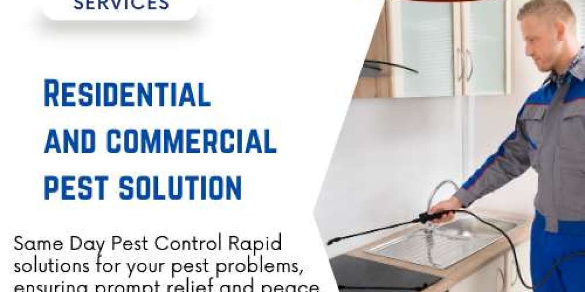 Same Day Pest Control Murrumbeena Instant Protection