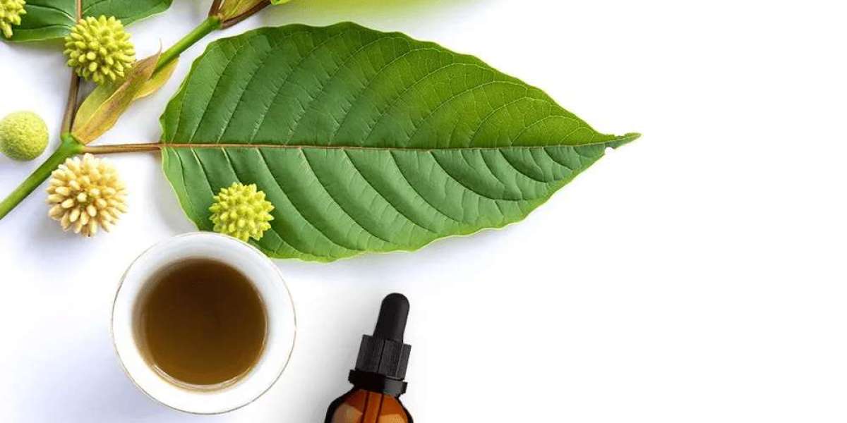 Where to Buy Kratom Online in 2024: Pure & Lab-Tested Kratom Products