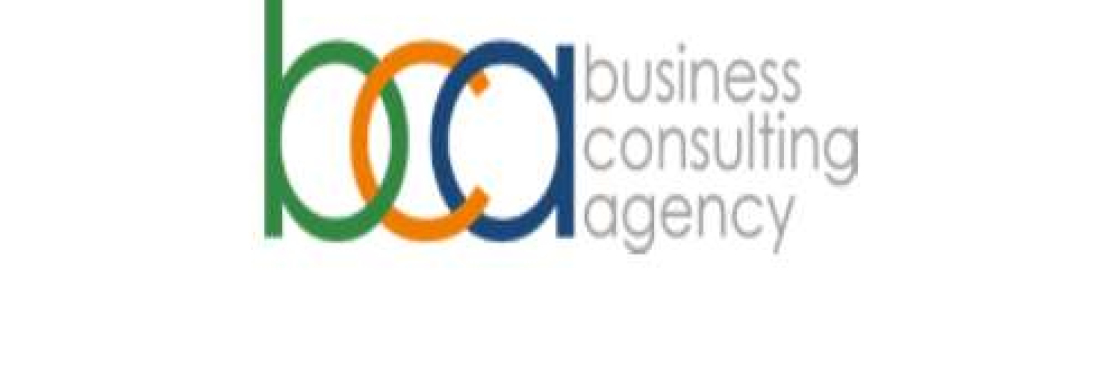 Business Consulting Agency Cover Image