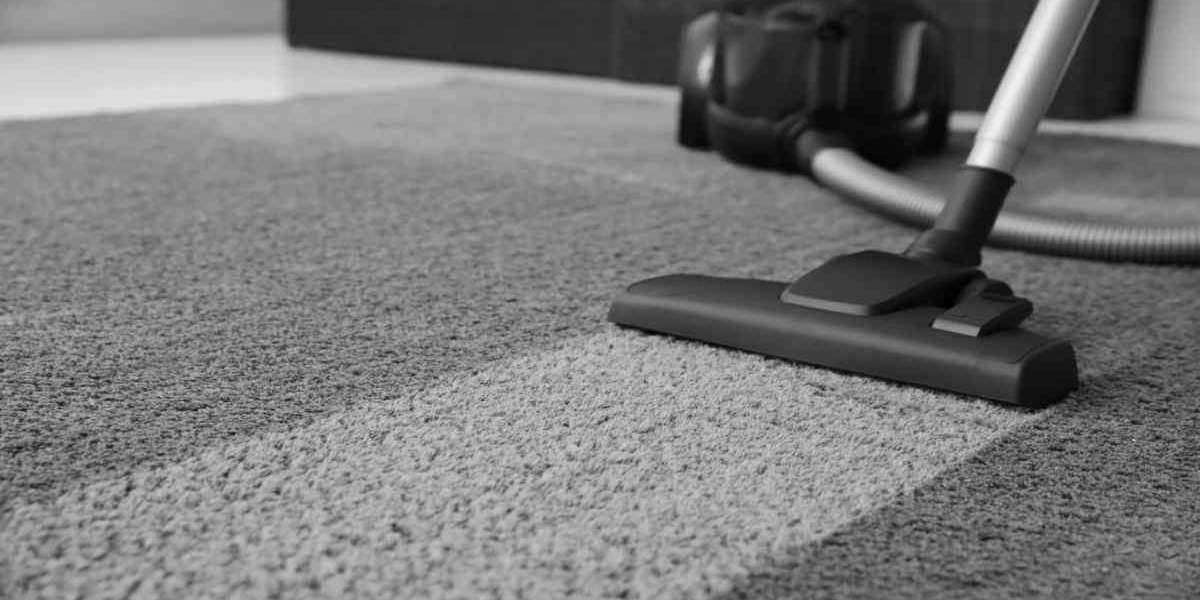 Transform Your Space with Professional Carpet Cleaning Solutions