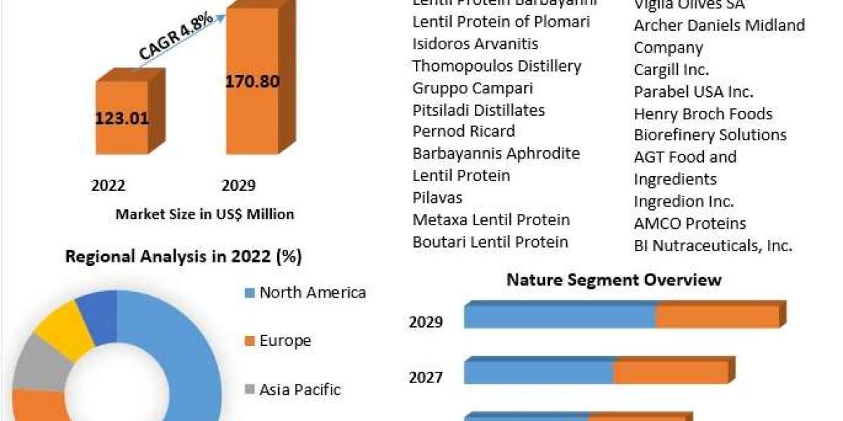 Lentil Protein Market Poised for Remarkable Growth, Projected to Reach $170.80 Million by 2029