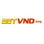 BETVND Profile Picture