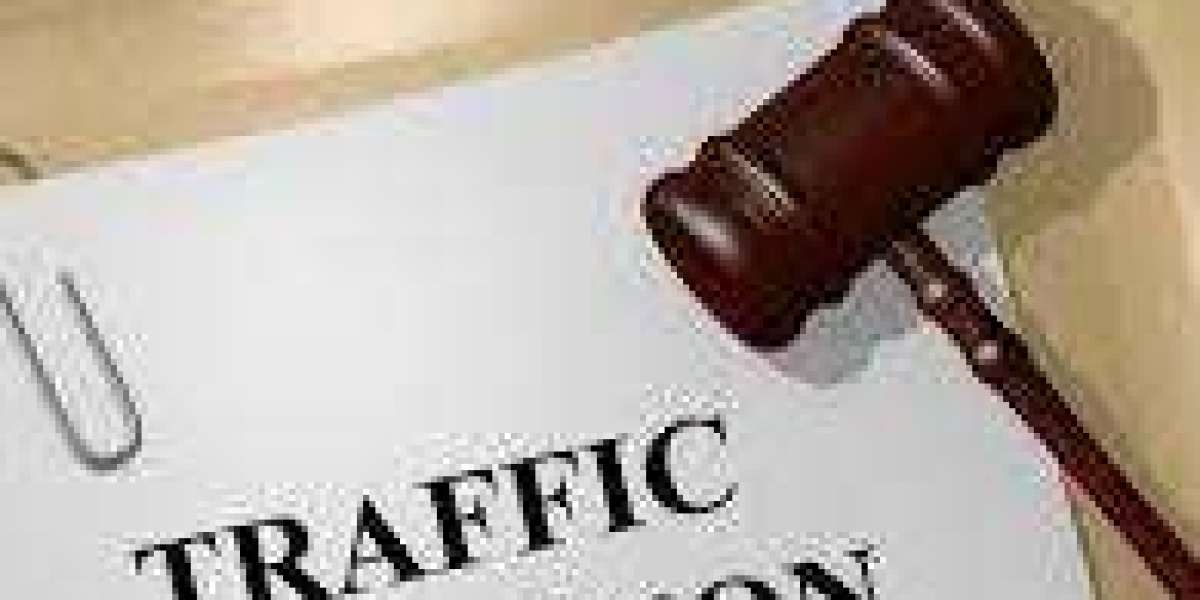 Methodologies Utilized by Traffic Ticket Attorneys to Challenge References
