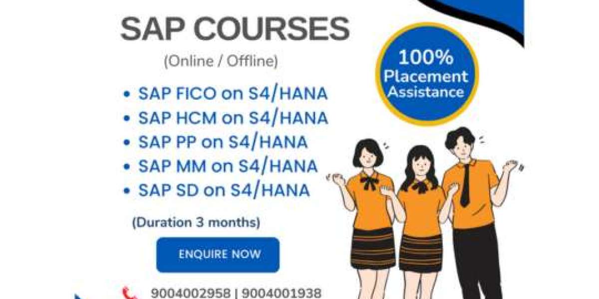 Don't Be Fooled by Scams: Choose Reputable SAP Training Institutes in Pune!